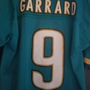 NFL 9 David Gerrard Jersey
